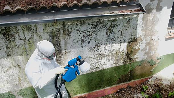 Top rated local Bathroom Mold Removal specialists in West Linn, OR